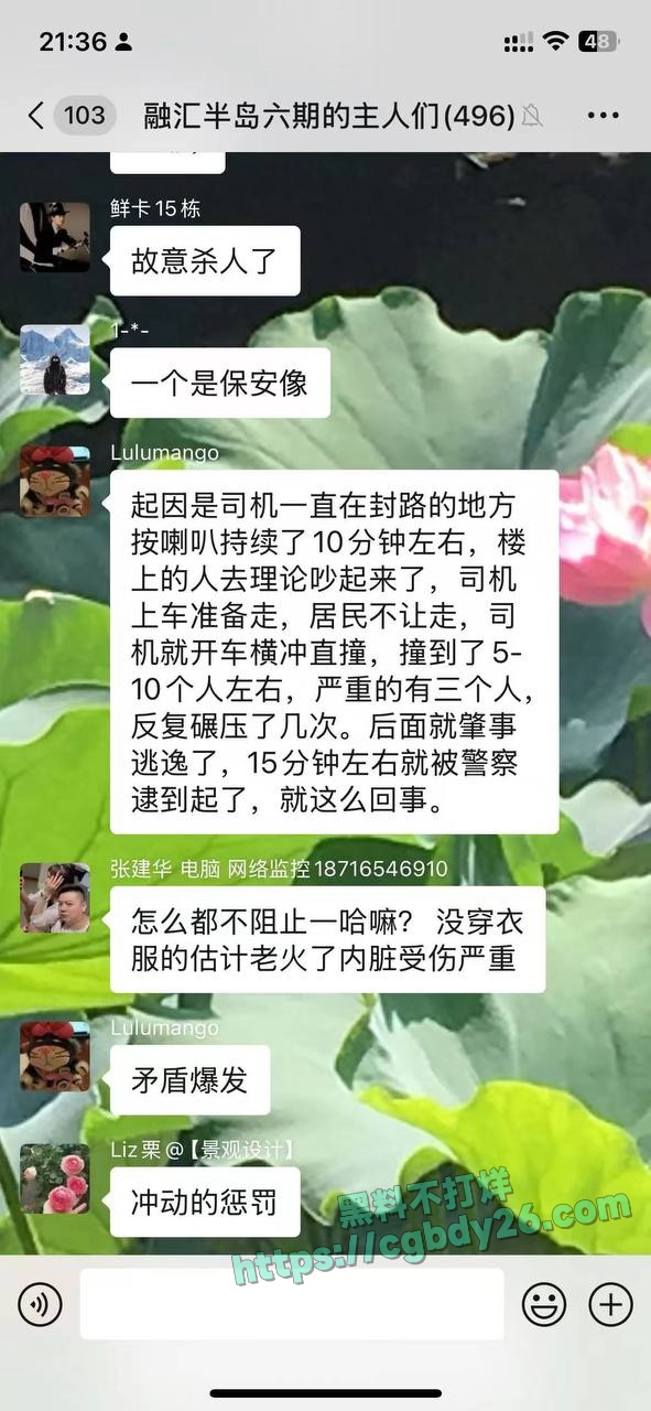 重庆巴南驾驶员冲撞行人多人受伤 3