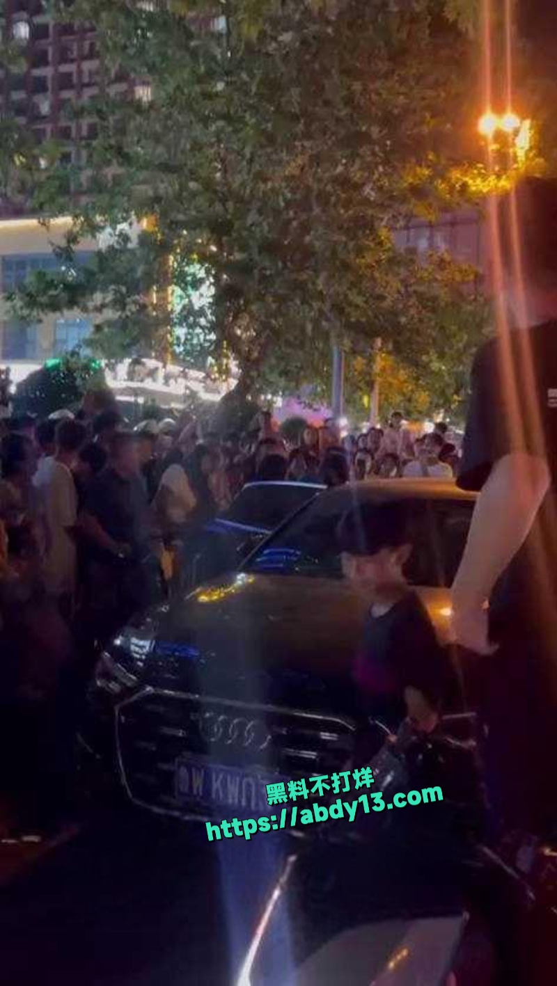 山东临沂奥迪A6抵押抓奸事件 3