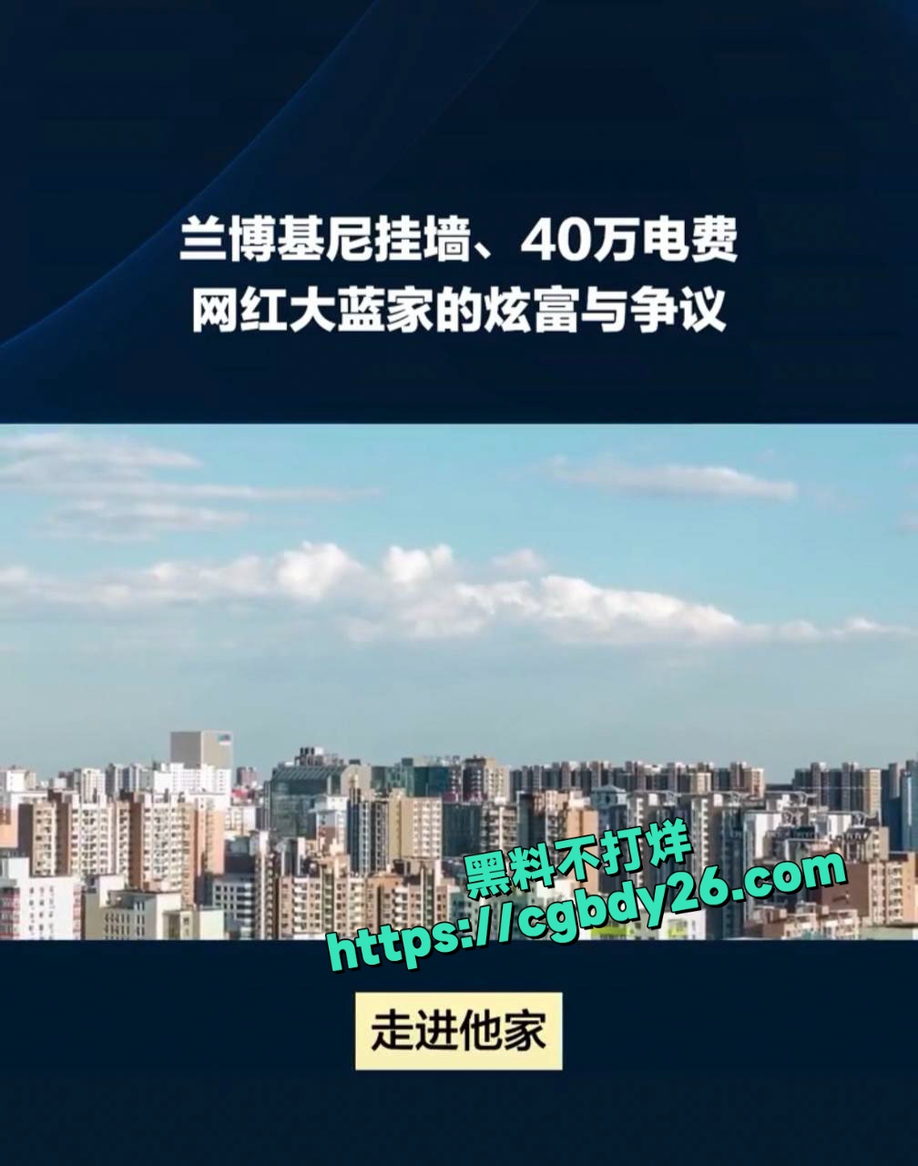大蓝老婆网上炫富家里一年电费40多万被网友举报封号2