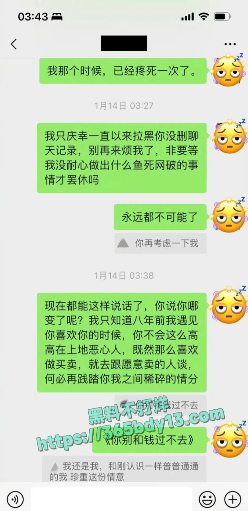 女网友与魏大勋聊天记录12