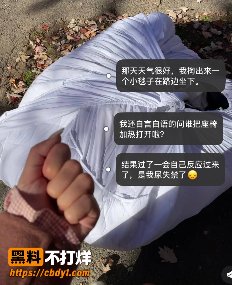 王龙13