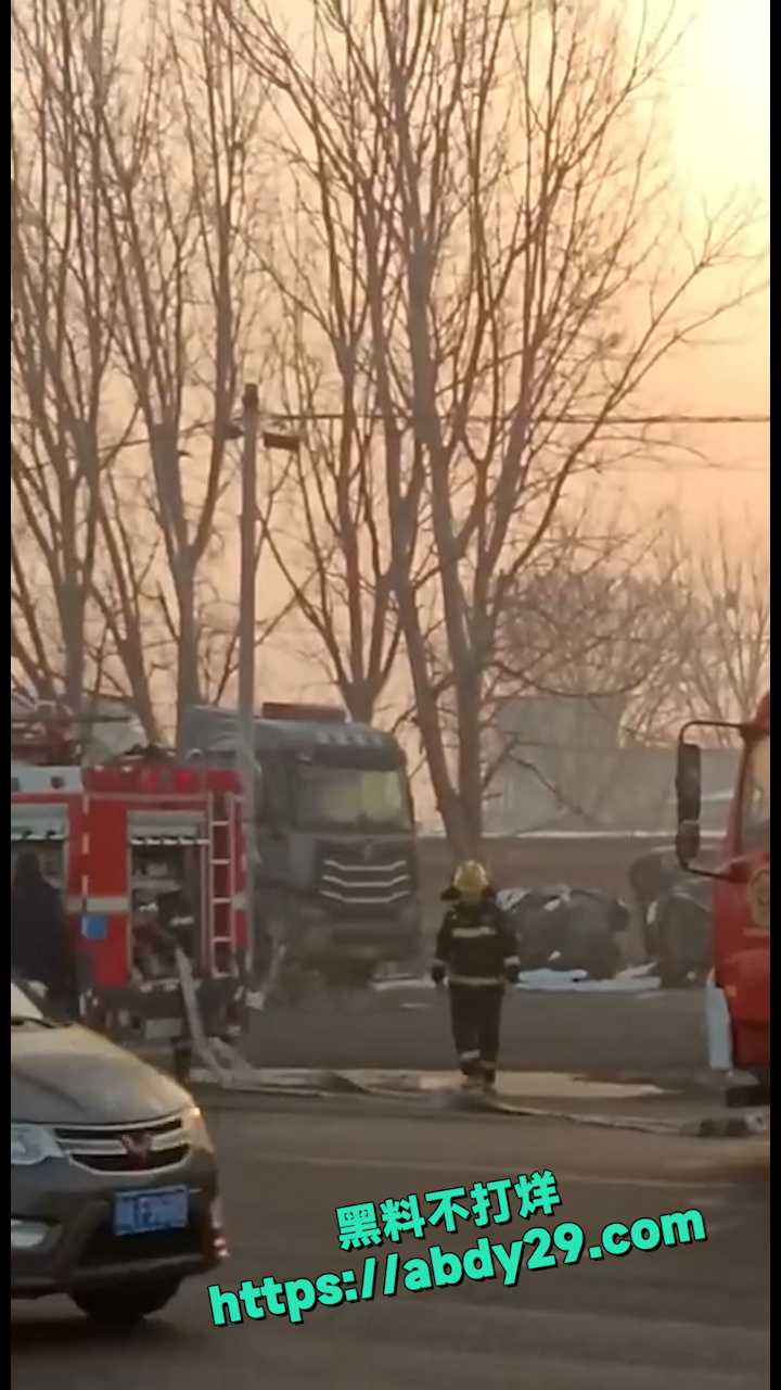 河南宝丰拉猪车高速起火 6