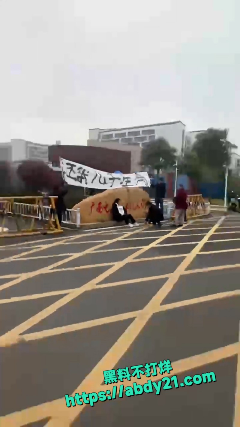 广西电力职业技术学院 4