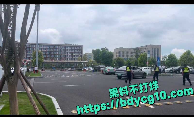 比亚迪汉疑似刹车失灵3