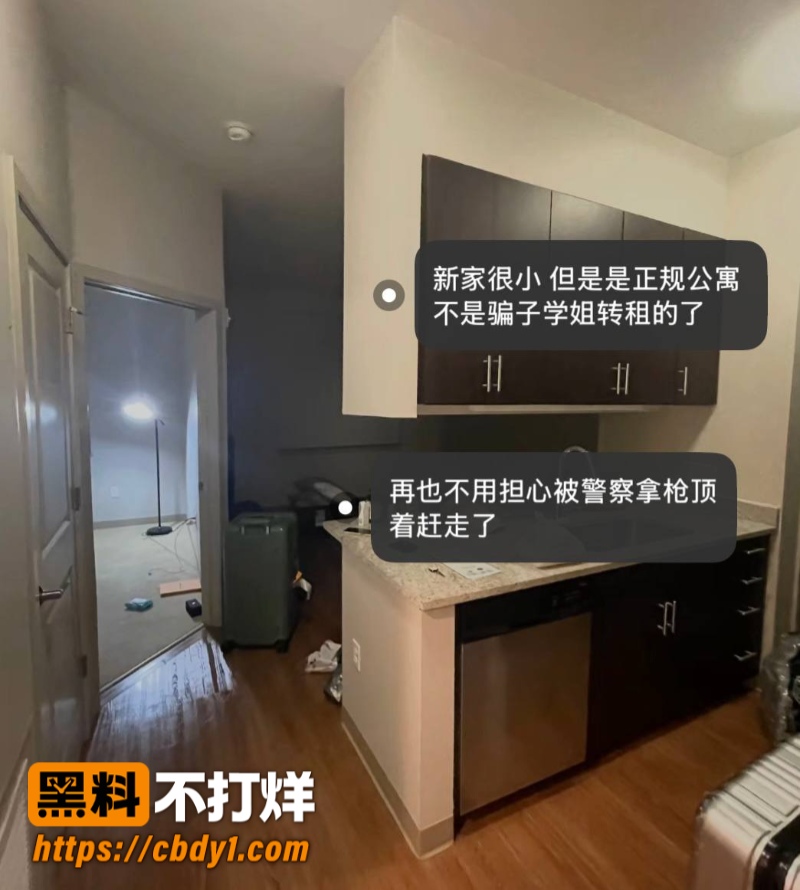 王龙17