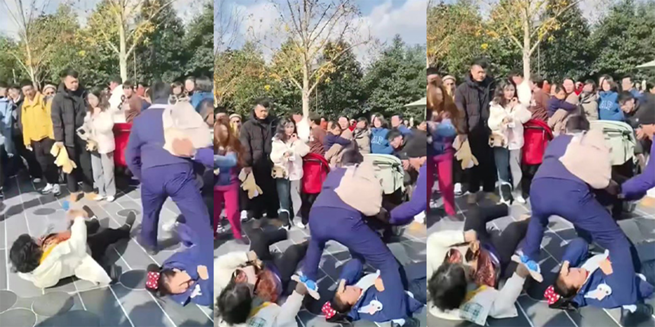 在上海迪士尼公园抢花车位引发的激烈群殴大战，游客们拳脚相加场面火爆
