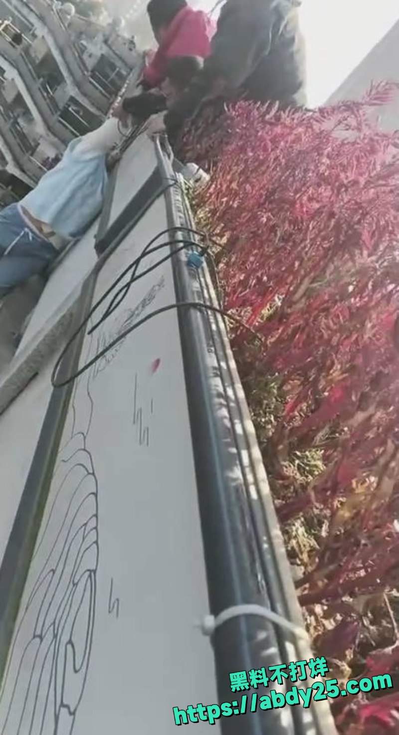 娄底资江一桥女子欲轻生 3