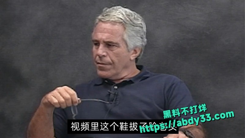 爱泼斯坦死亡谜团解开 25