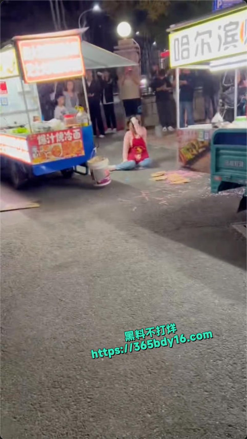 哈尔滨夜市打架视频 6