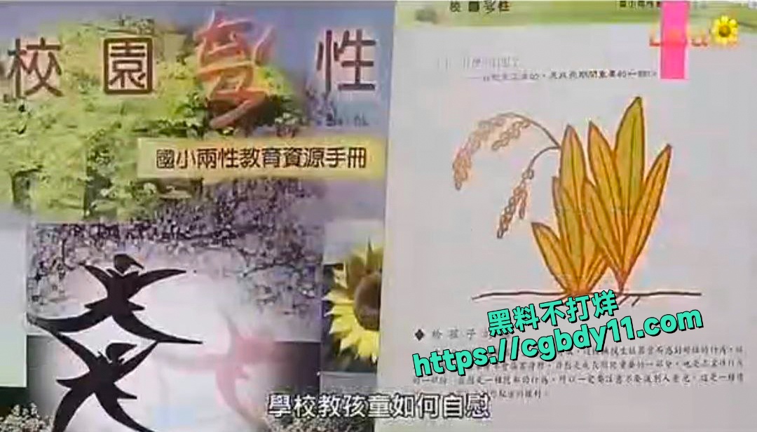 台湾小学自慰 (2).jpg
