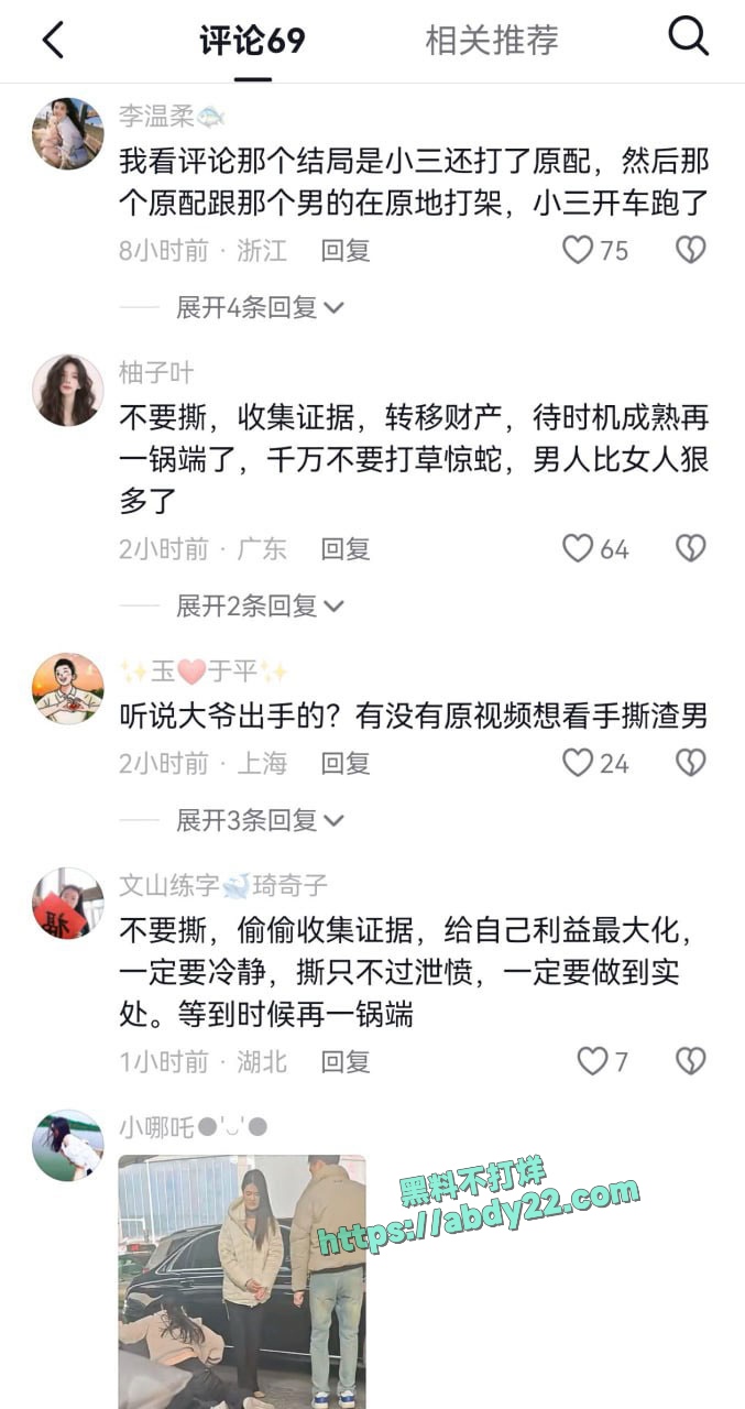 河南奔驰哥帮小三当街殴打原配 4