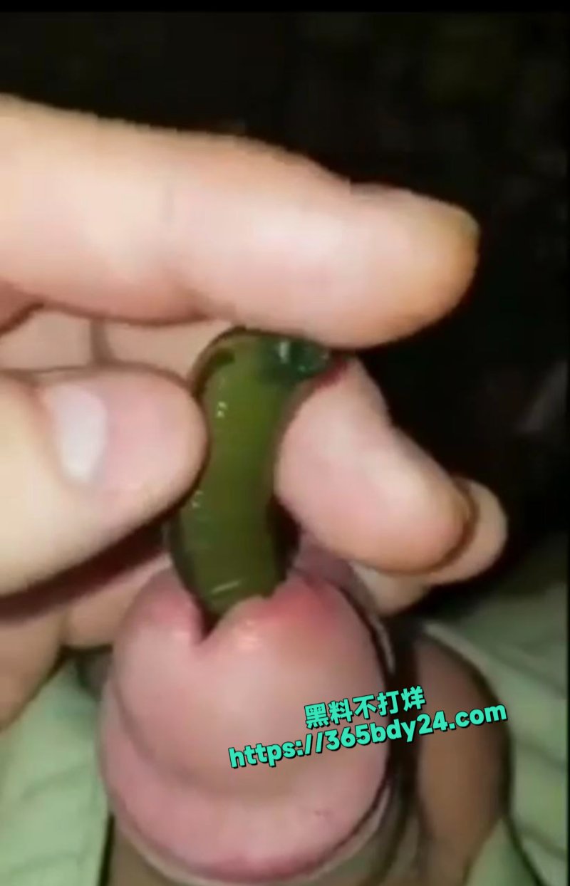 血蛭往龟头里塞8