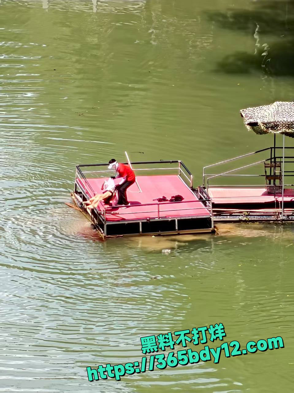 宜昌蹦极绳断裂游客直坠江中 5