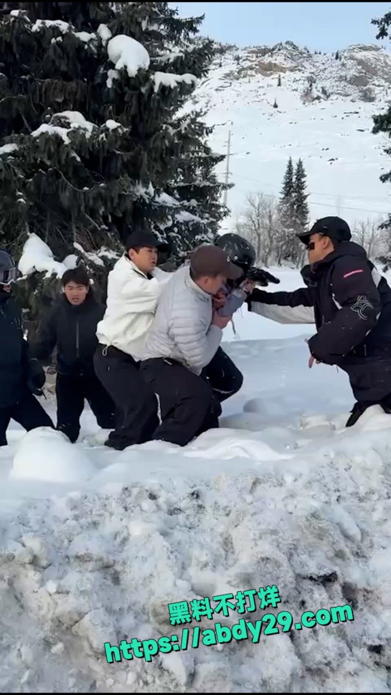 新疆可可托海发生雪豹伤人事件 1