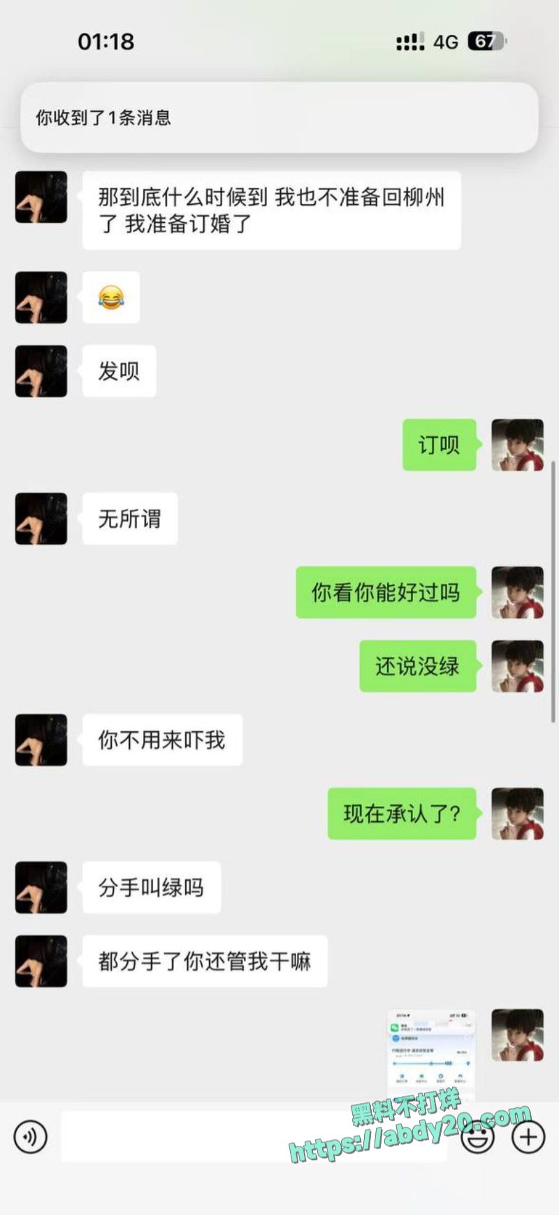 熊大718被绿 45