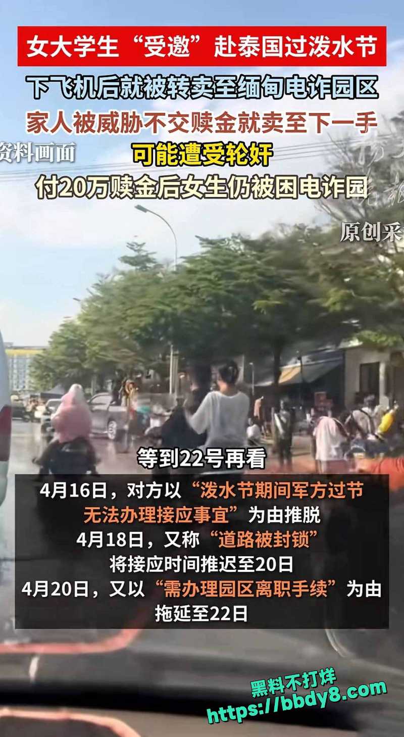 小阳 10