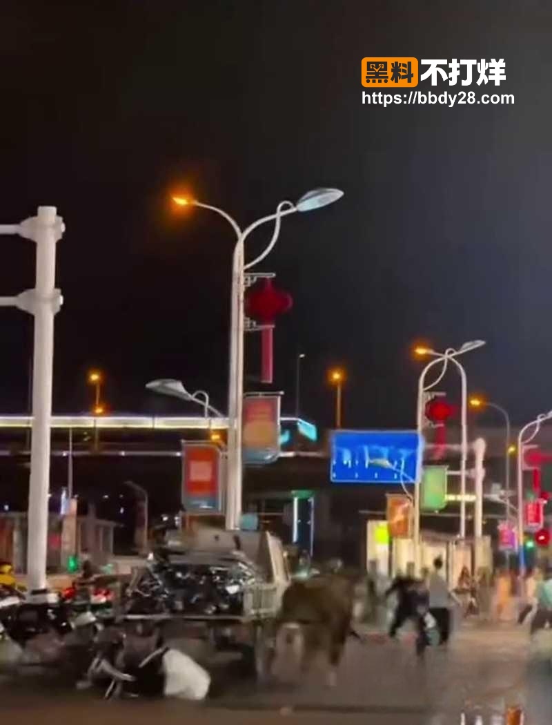 长沙万家丽地铁口黄牛撞人3