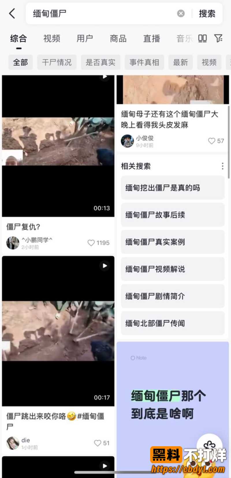 佤邦僵尸 缅甸僵尸4