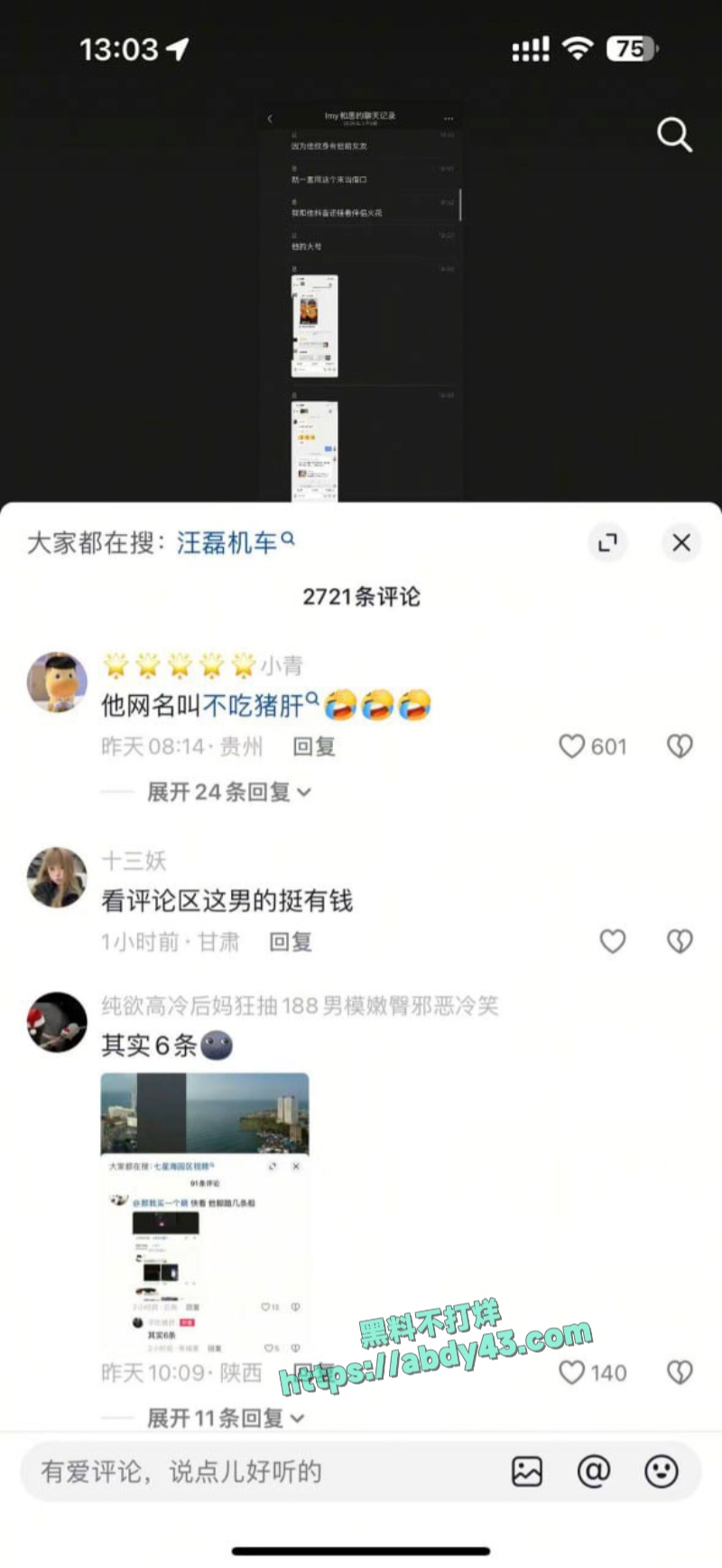 武汉W车队不吃猪肝 47