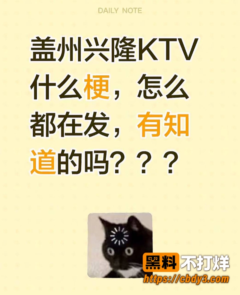 盖州兴隆KTV事件视频06