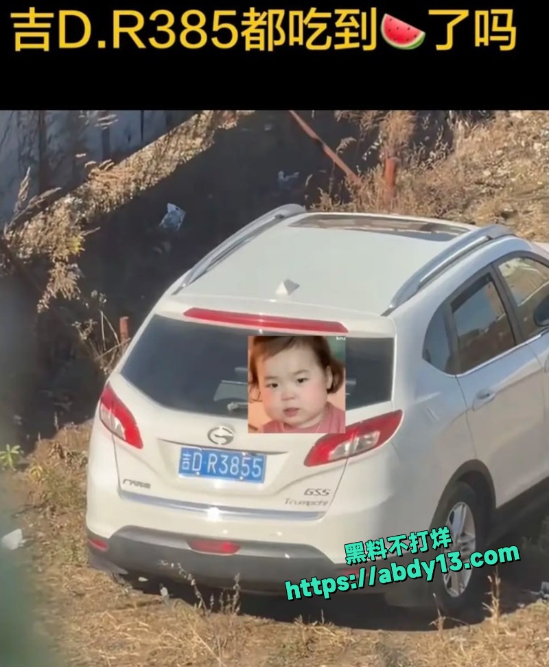吉林熟男熟女野外偷情被当场抓包 2