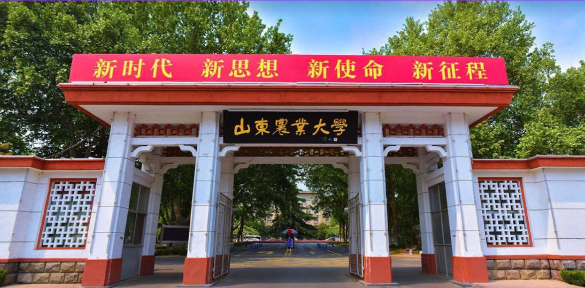 新思想，新使命！山东农业大学情侣在自习室里口交整活！牢记校训，不辱校风
