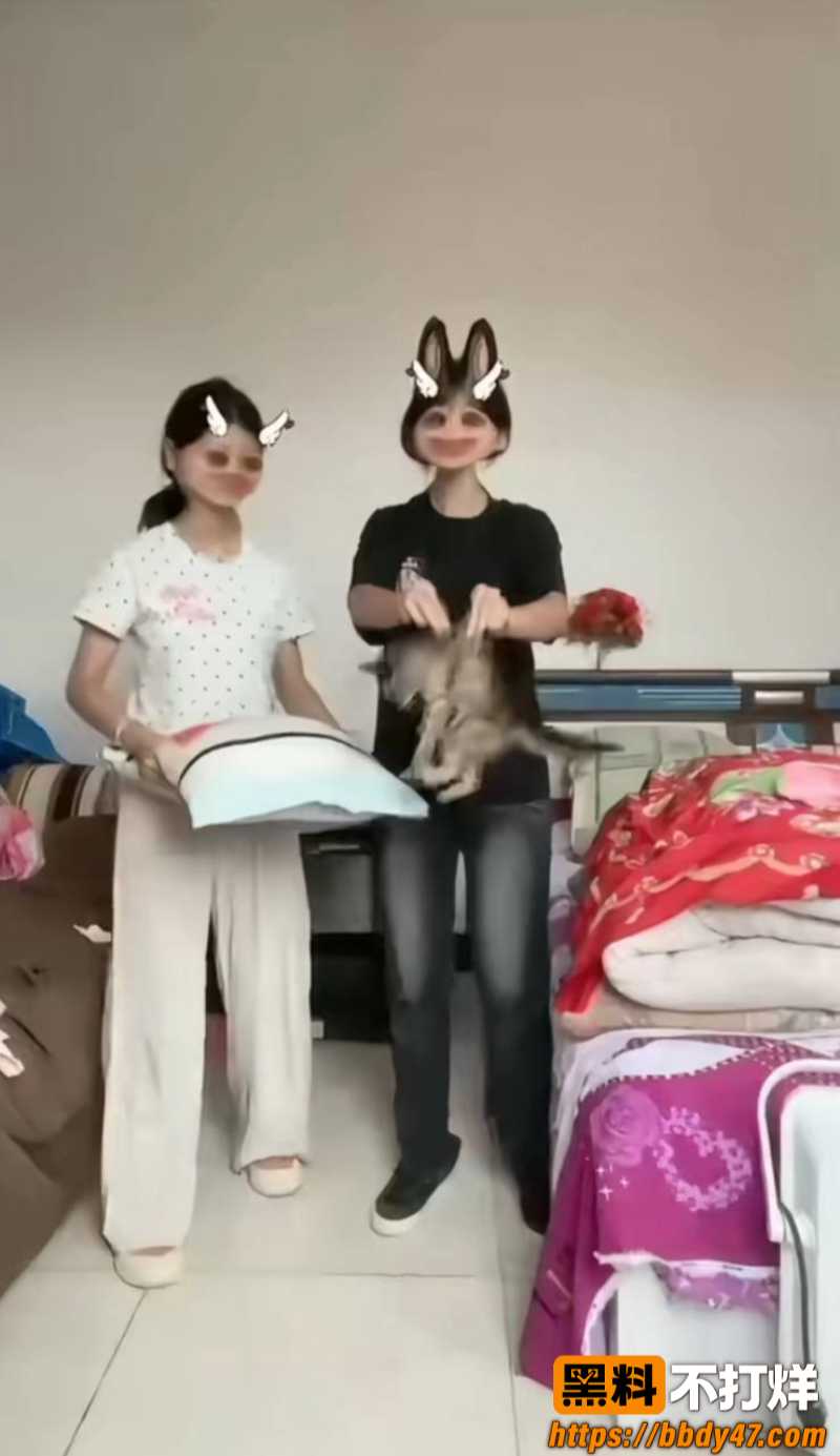 牙不齐、白米粥10