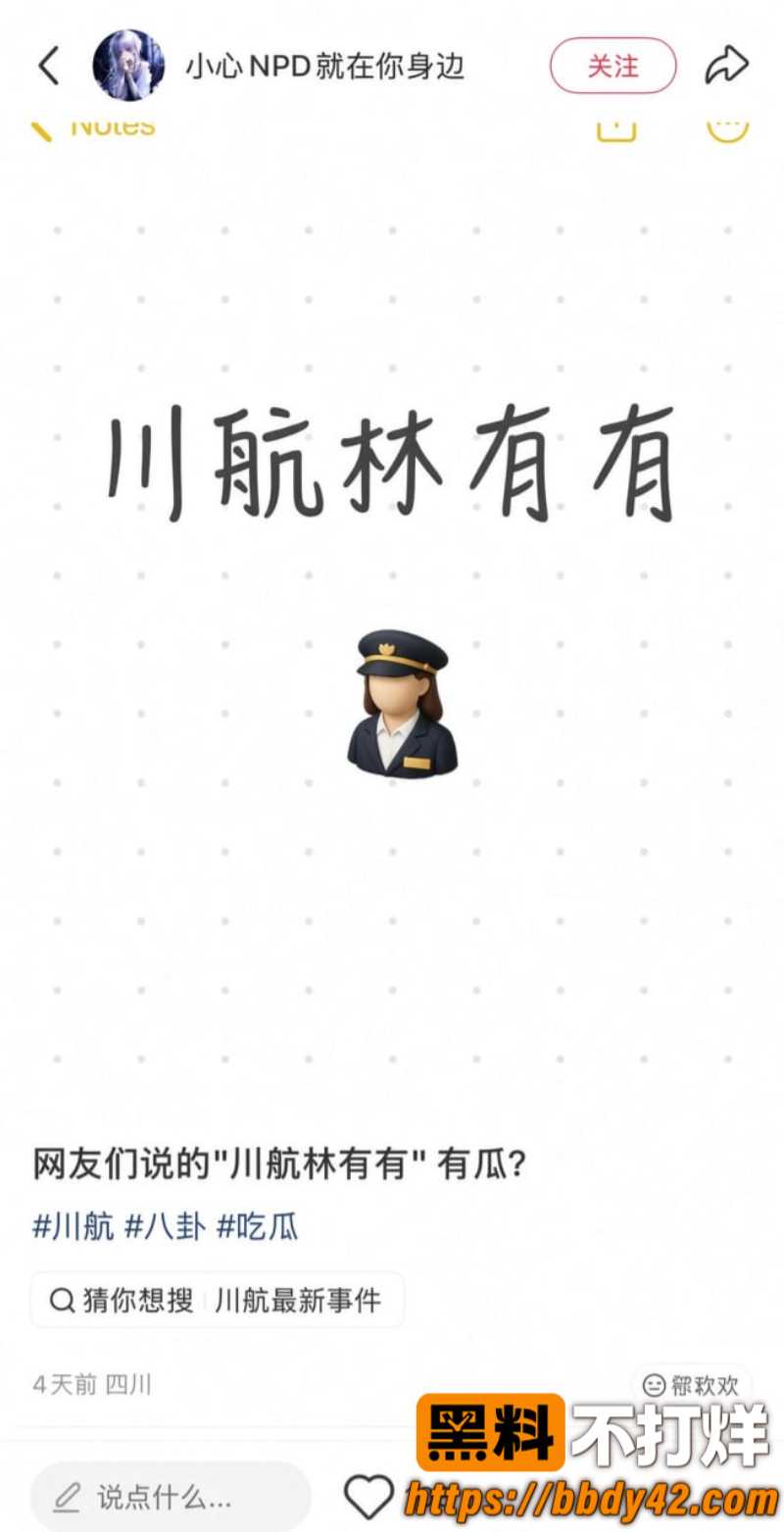 一饭封神2 川航空姐飞天小辣椒34