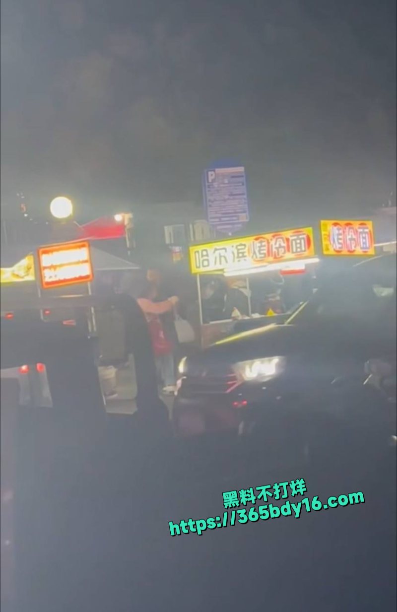 哈尔滨夜市打架视频 3