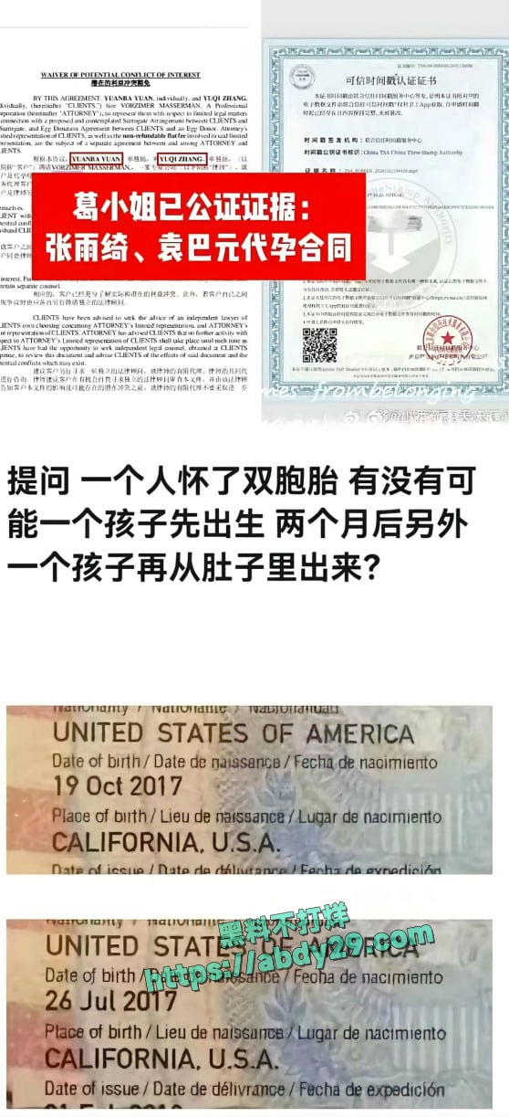 张雨绮被袁巴元前妻实锤代孕 10