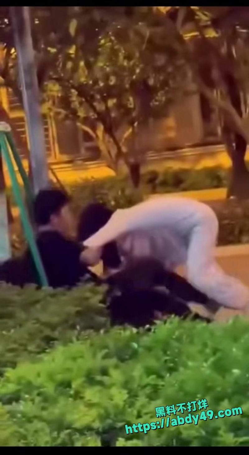 高颜值反差女 东莞街头抓奸打架5