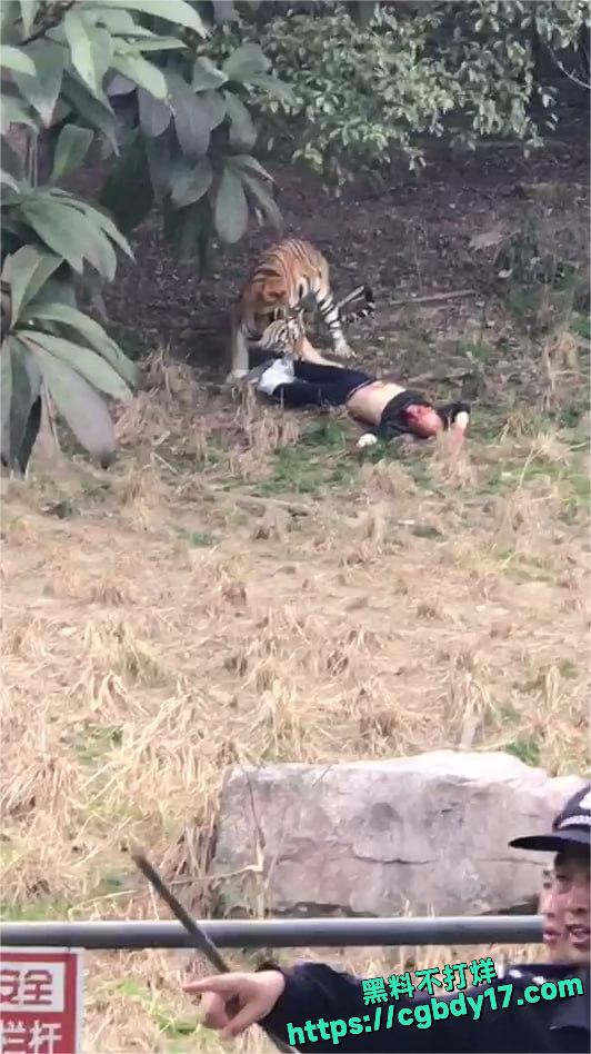 宁波老虎杀人事件2