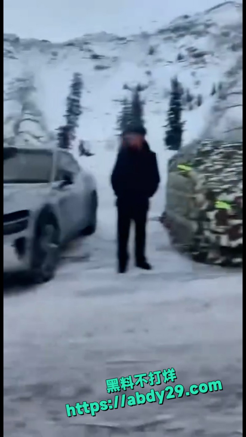 新疆可可托海发生雪豹伤人事件 17