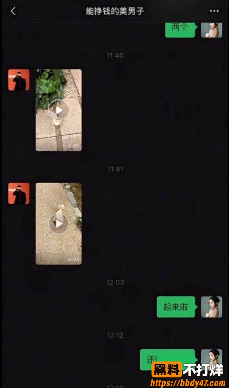 小冠军和巴扎黑23