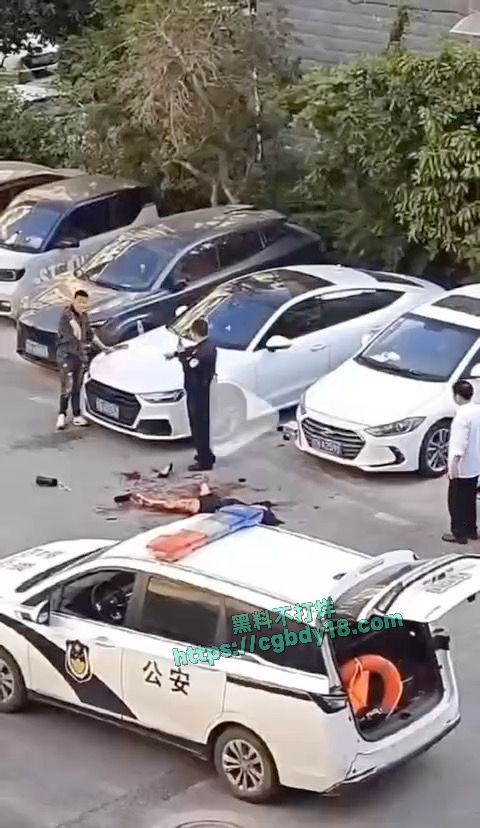 景德镇男子将女老板砍伤4