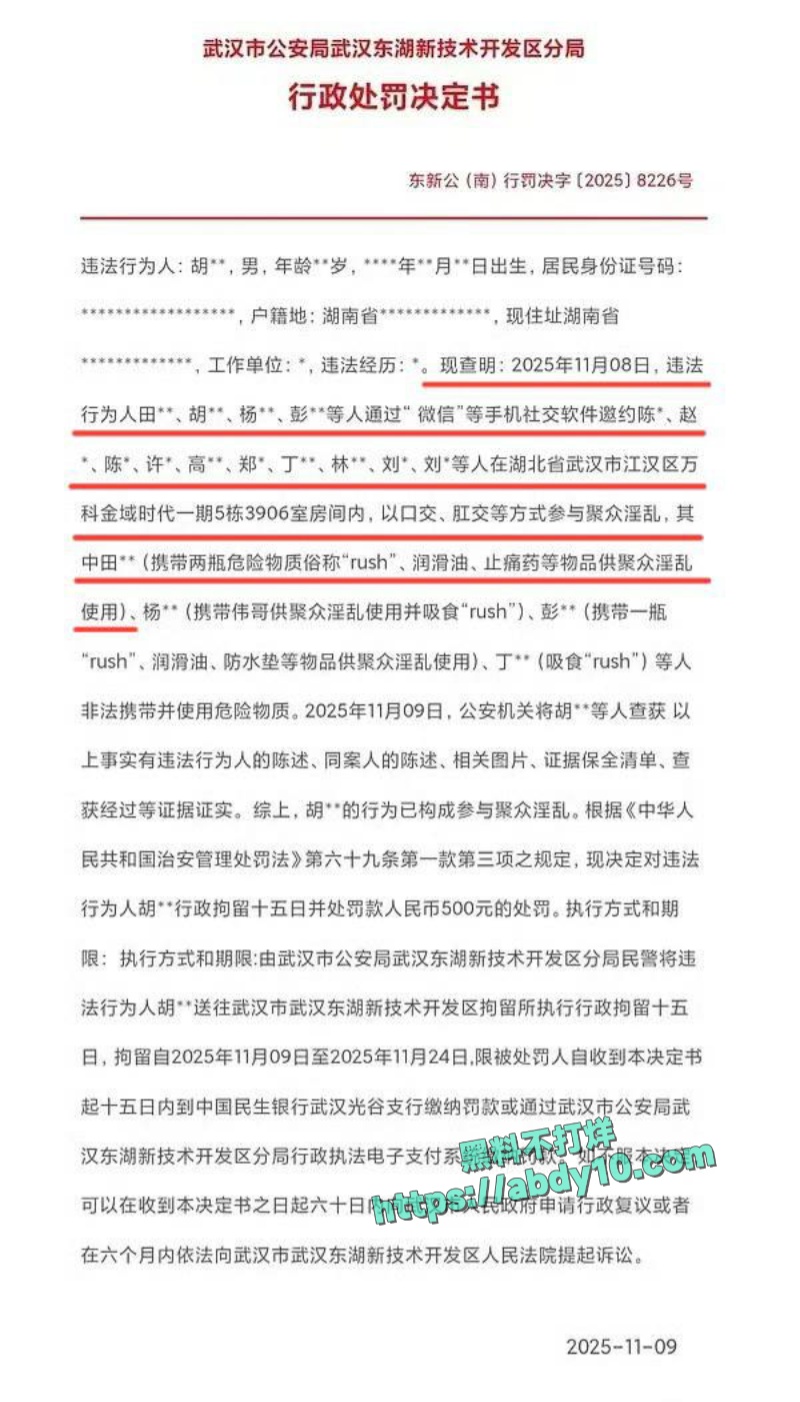 抖音网红胡宾果聚众淫乱被抓 17