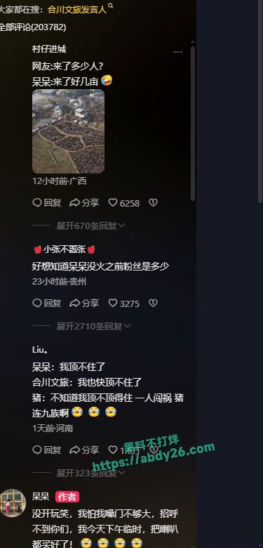 重庆合川呆呆杀猪事件燃爆网络 4
