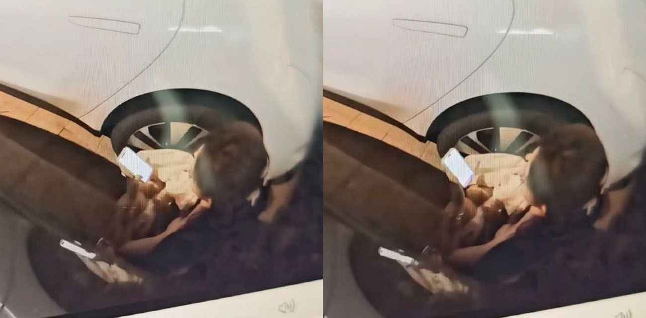 美女深夜内急车边放尿 被行车记录仪抓拍全程 这么有气质的御姐竟然这么没素质