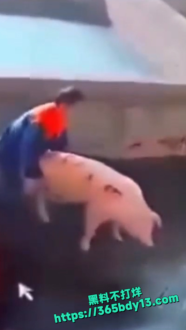 孤独三五年母狗赛貂蝉 8
