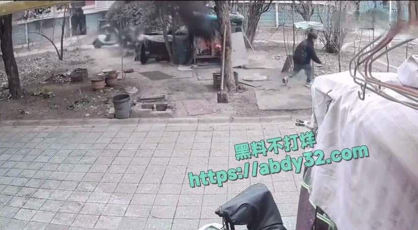 连云港两男孩烧死笼中萨摩耶  12