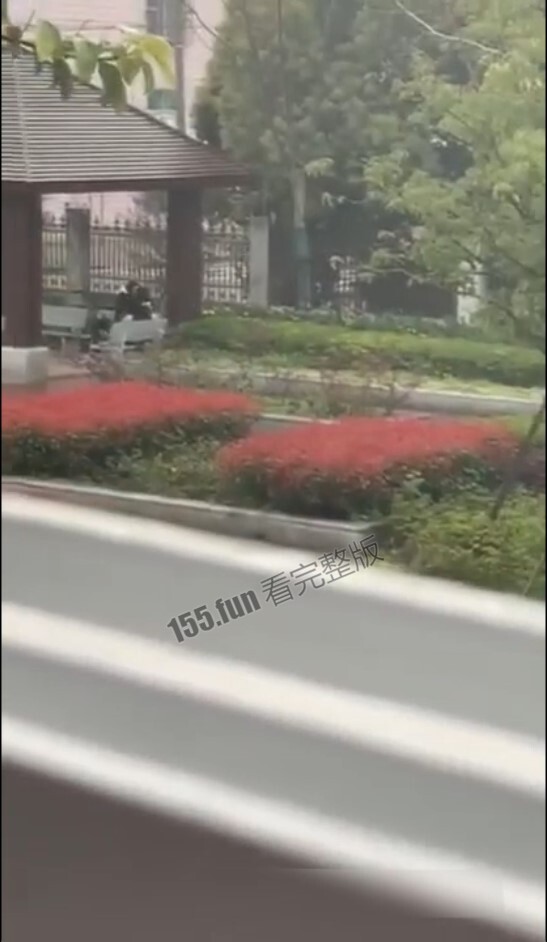 屏幕截图 2022-12-12 173025.jpg