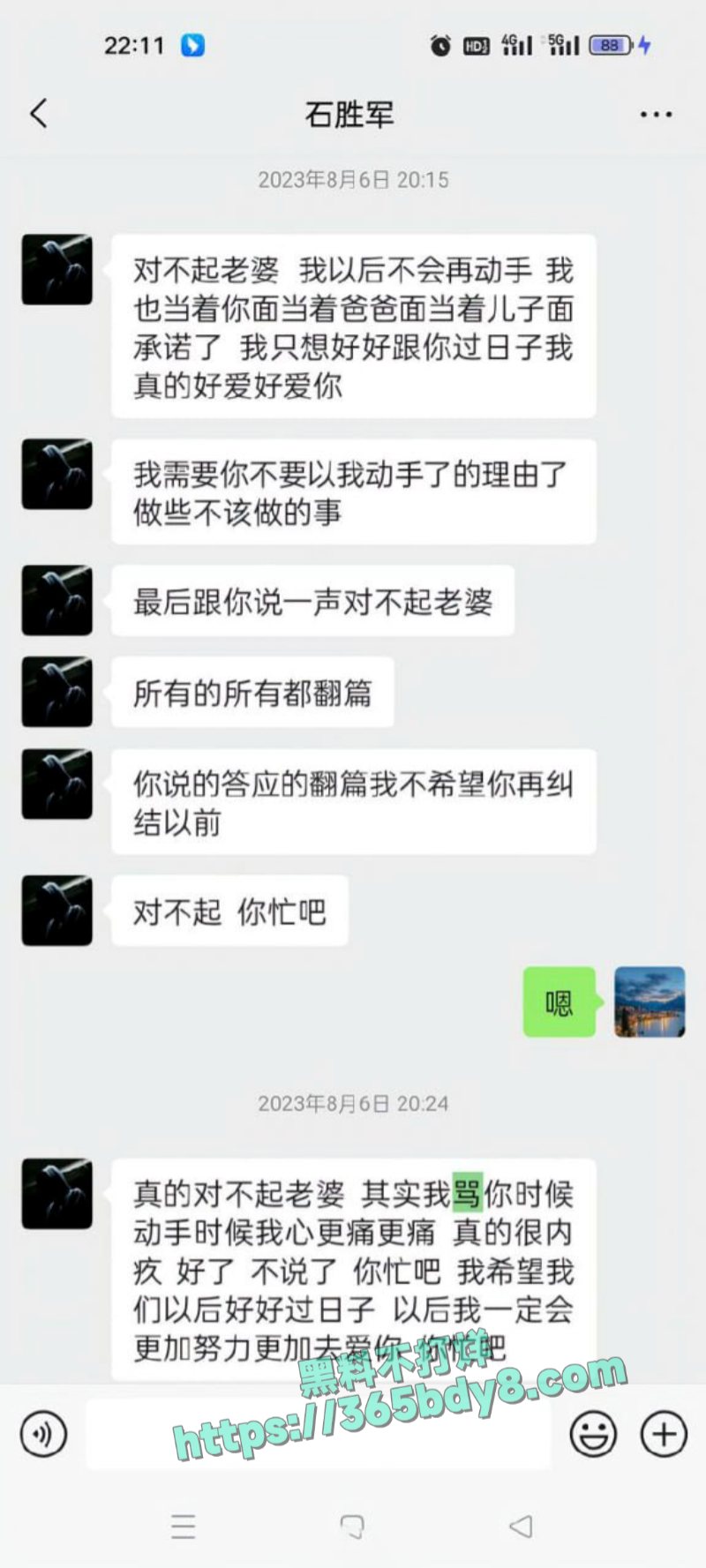 宁波石胜军频繁家暴然后还出轨1