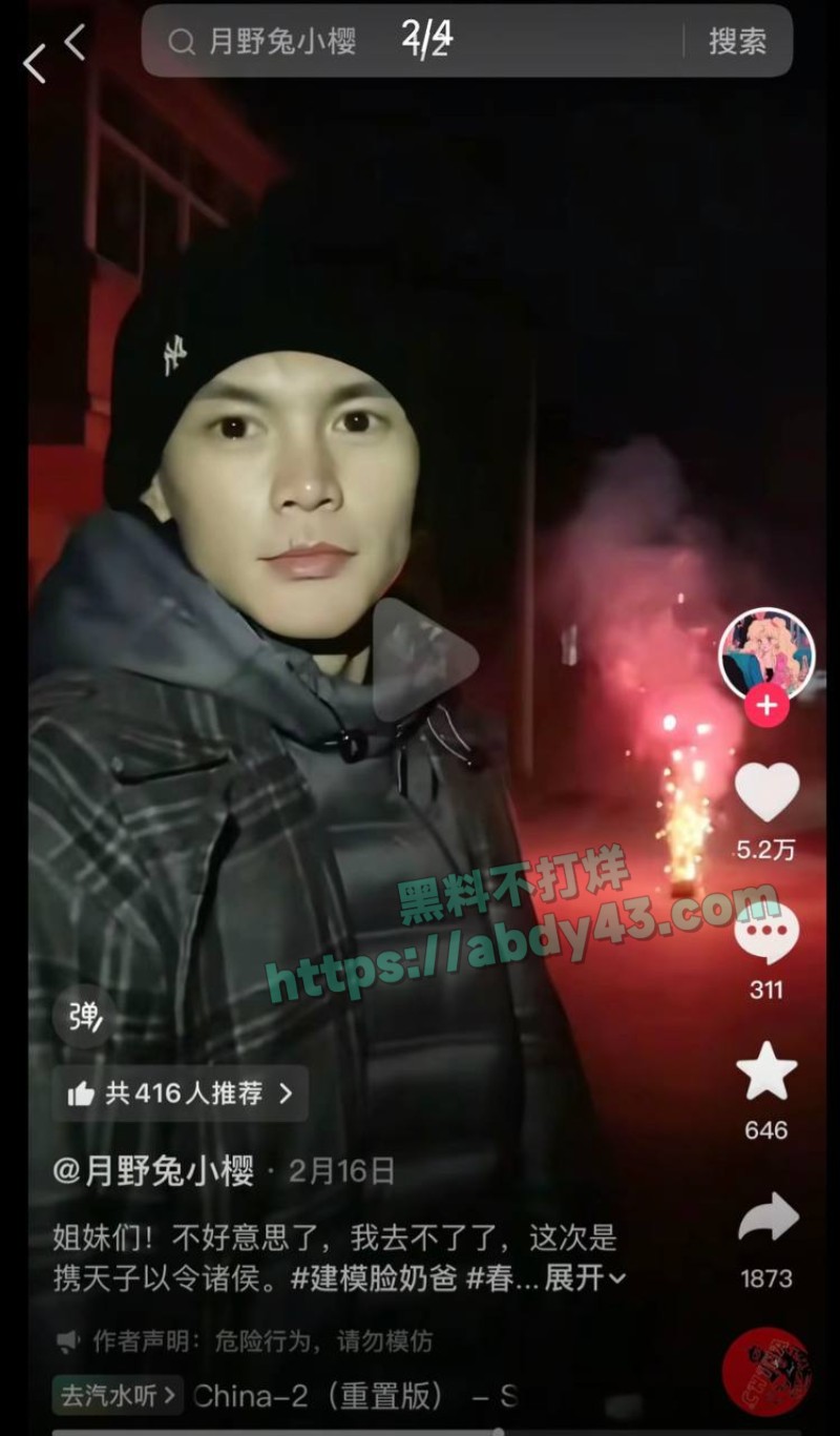 奶爸网红月野兔小樱6