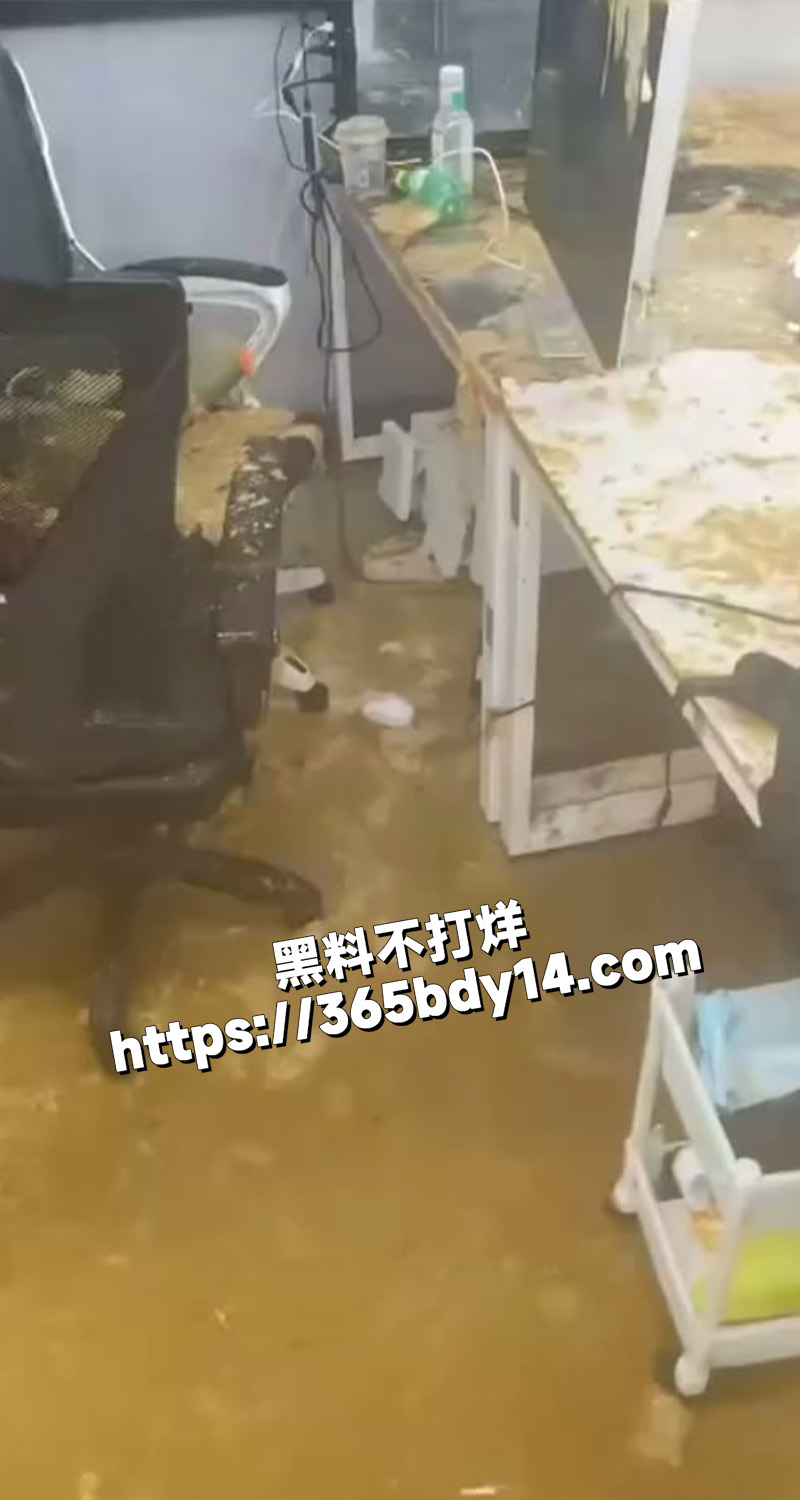 国美淋屎6