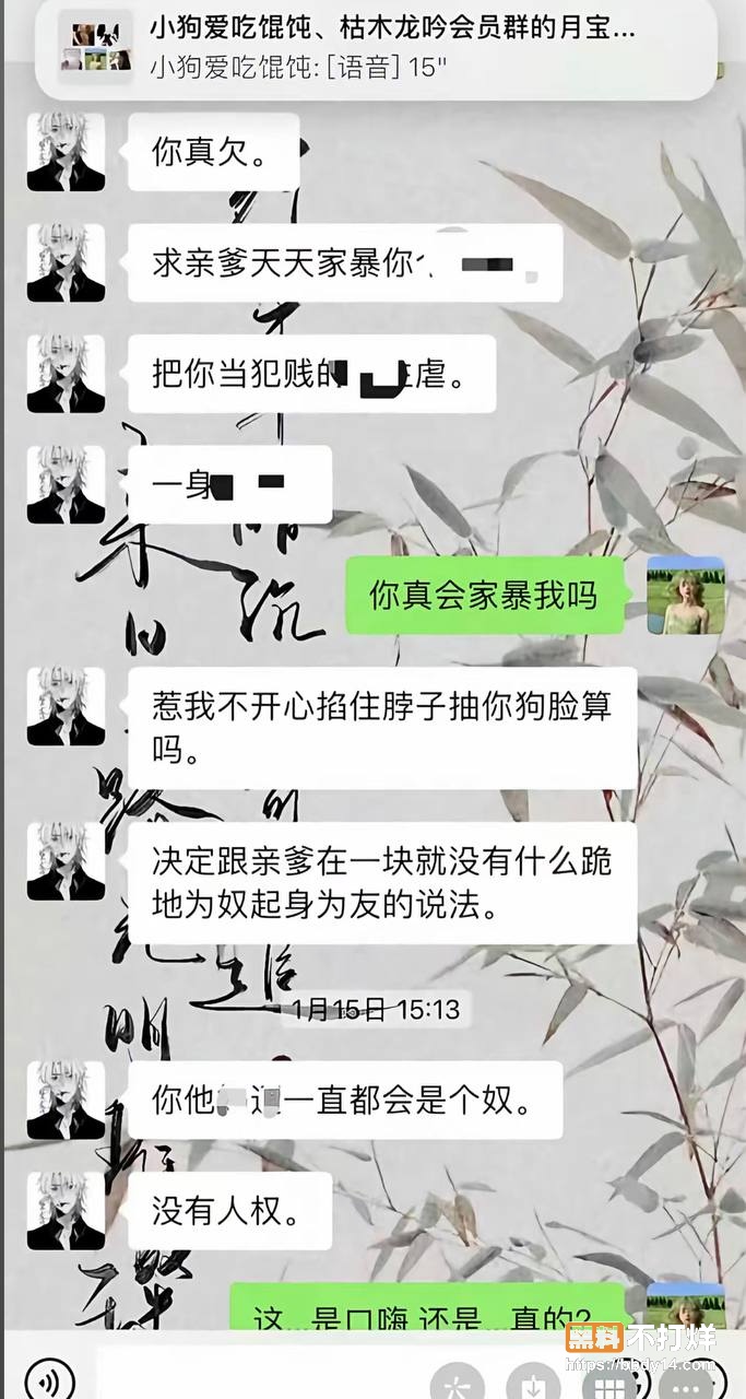 95w粉男主播枯木龙吟24