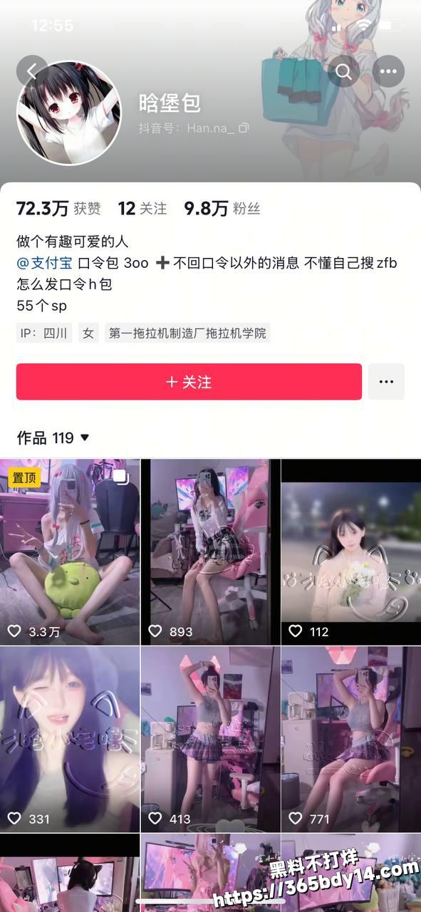 抖音网红晗堡包1
