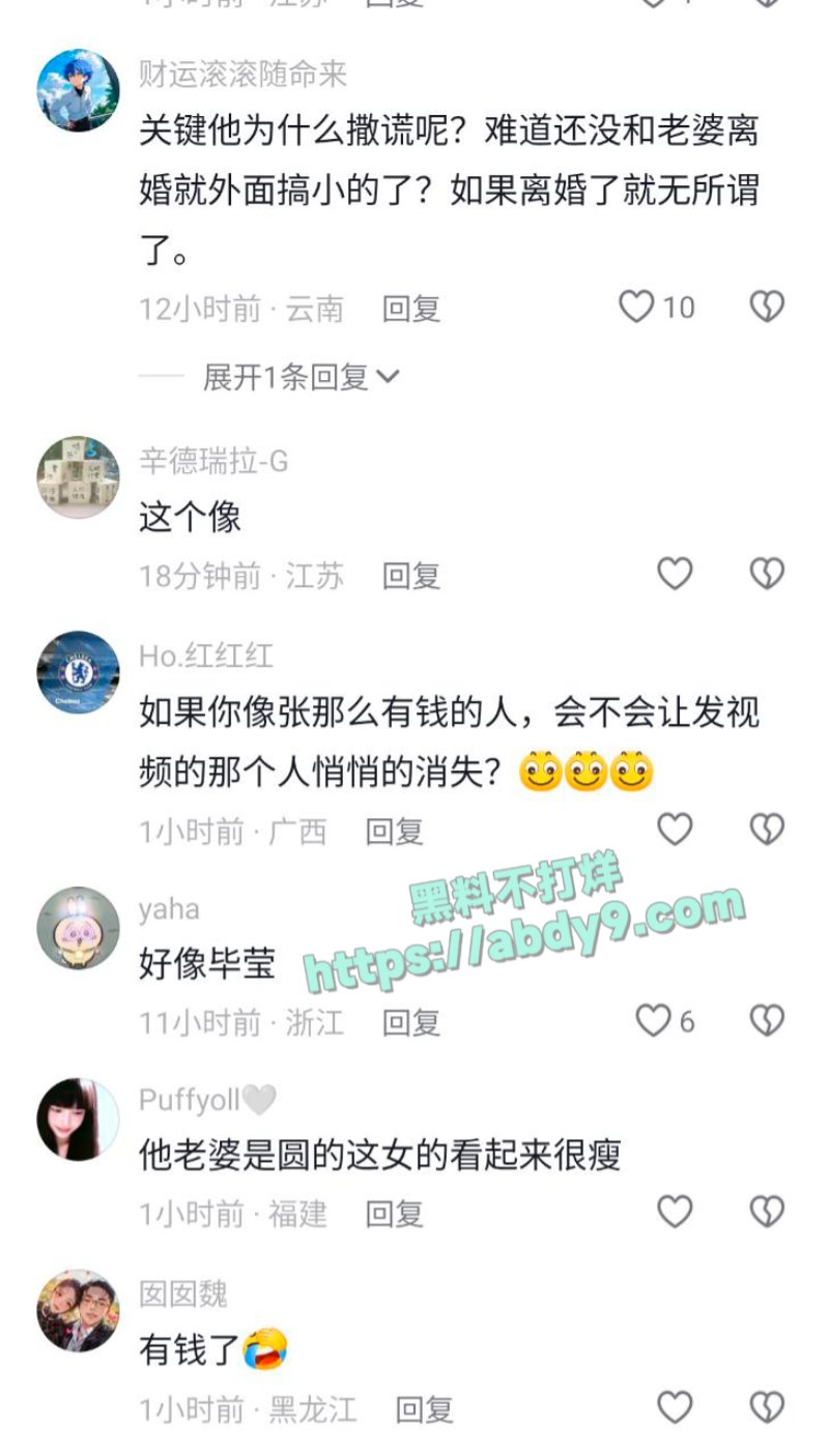 张雪峰带三姐看伍佰演唱会5