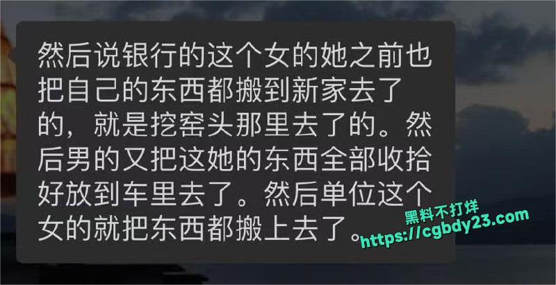 脚踏两条船4