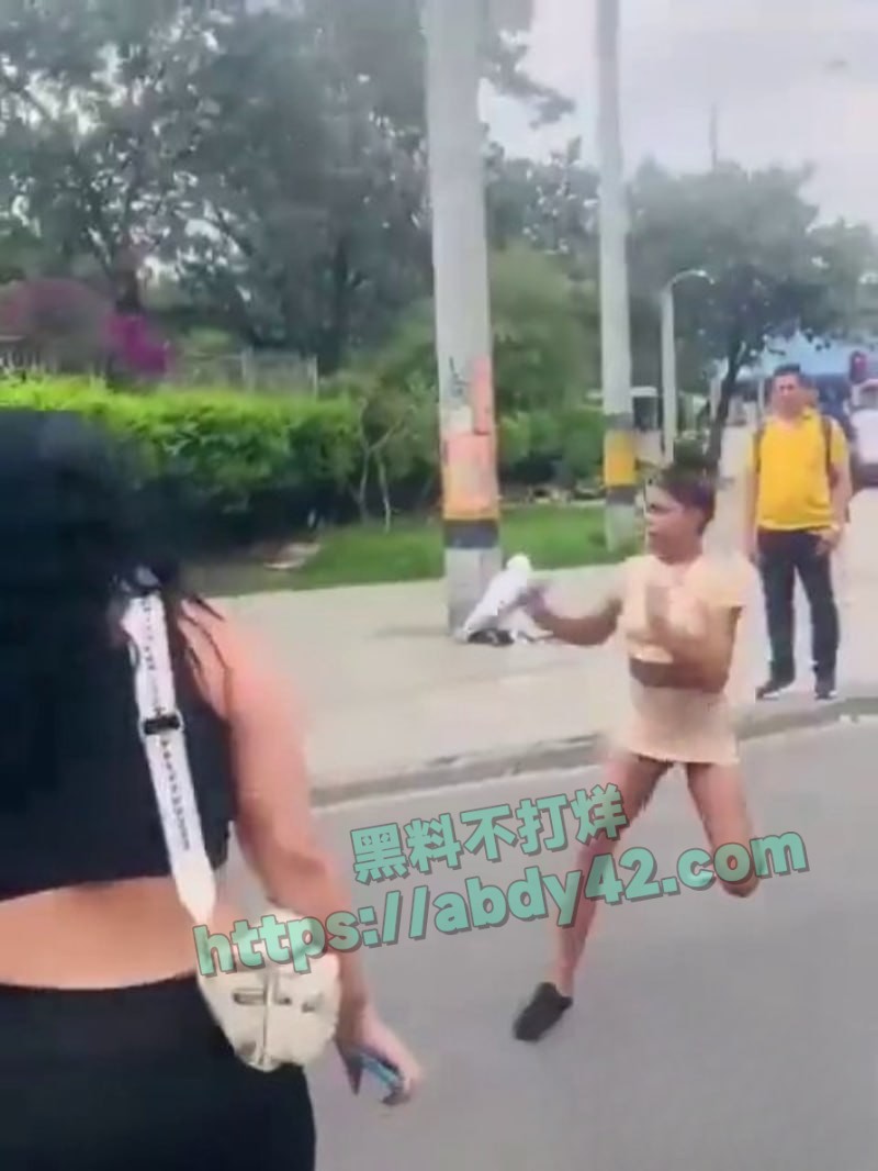 哥伦比亚市中心两女持刀搏斗1