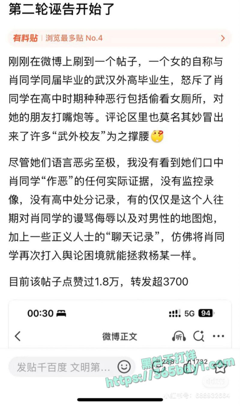 A武大事件 4